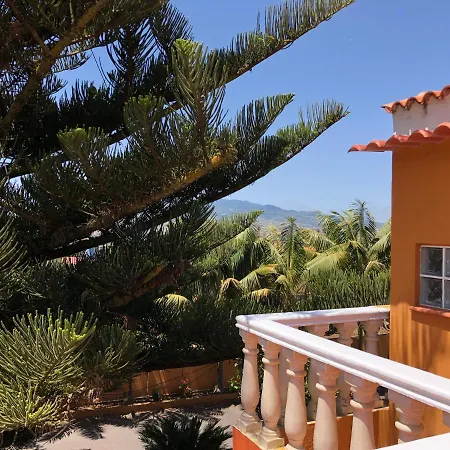 En * La Laguna (Tenerife)