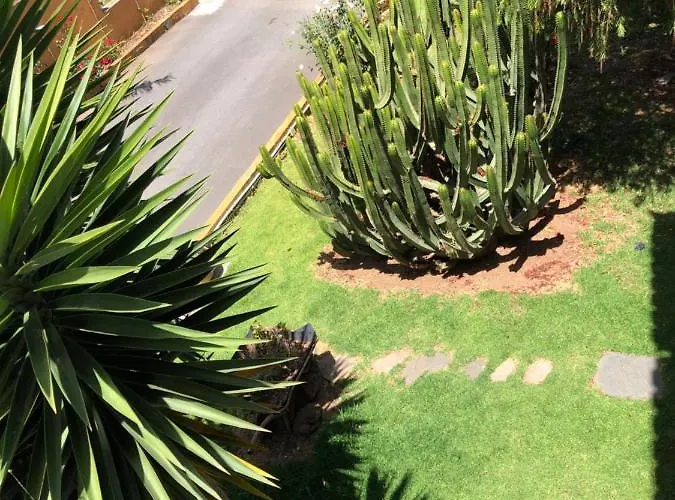 En Appartamento La Laguna (Tenerife)